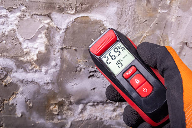 Best Fast Mold Removal  in Englewood, OH